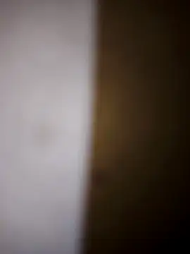 Toph12345 online show from 11-10-25, 05:23