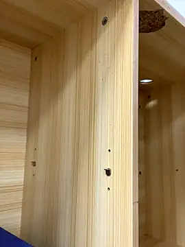 Winona88 online show from 11-06-25, 09:02