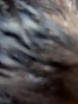 Swweet Miia1 online show from 03-01-26, 03:06