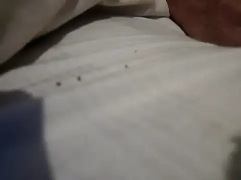 jjLARAY online show from 02-15-26, 10:36