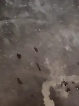 play boy-raj007 online show from 10-15-25, 01:15