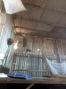 Dothanhthuan555 online show from 03-25-26, 02:44