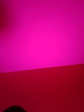 xcodigorojo online show from 11-14-25, 06:17