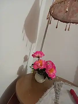 Snapshot of Tanha18 chatting on 07-01-26, 01:33 Tanha18 online show from 07-01-26, 01:33