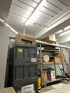 AlexGogo23 online show from 02-12-26, 11:54