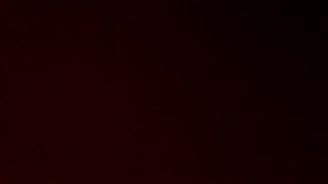 gatitachilena2 online show from 04-23-26, 03:35