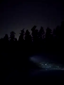 kiimakalu online show from 12-05-25, 07:55