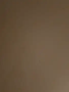 Playboyx143xh online show from 10-12-25, 05:58