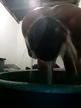 MyGuy352 online show from 12-04-25, 07:13