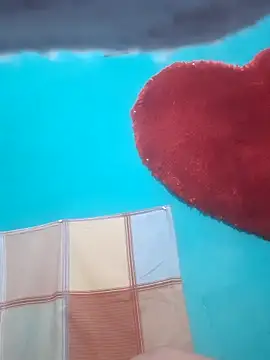 Prishacam2 online show from 03-14-26, 04:18