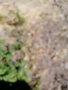 228fucker online show from 01-07-26, 06:18