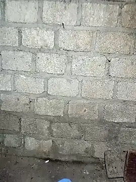 siusiu-00 online show from 11-21-25, 07:57