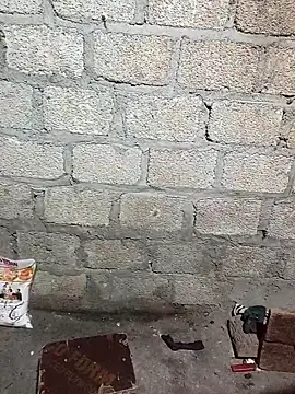 siusiu-00 online show from 11-13-25, 10:52