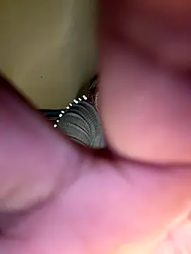 payal mittal online show from 11-27-25, 09:26