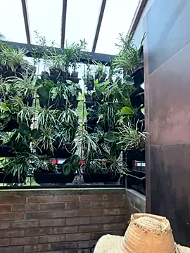 Rashel Frost  online show from 11-23-25, 06:51