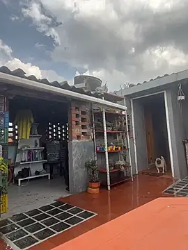 Leonardmoppet online show from 10-23-25, 05:55