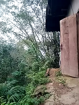 Myzak- online show from 03-26-26, 11:19