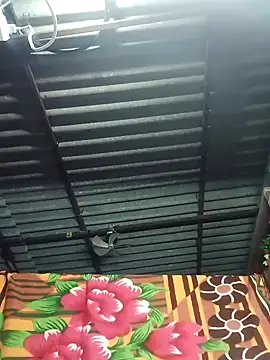 Rajni chauhan online show from 11-07-25, 09:41