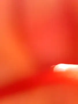 Rajni chauhan online show from 10-21-25, 08:58