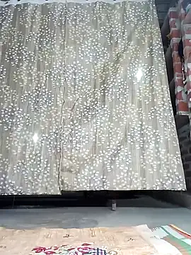 Rajni chauhan online show from 12-05-25, 04:16