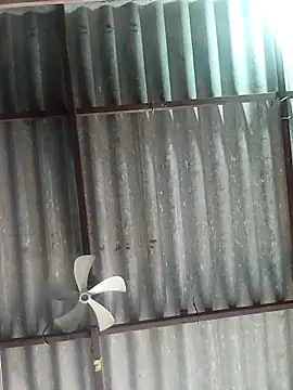 Rajni chauhan online show from 11-06-25, 06:06