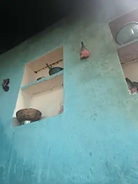 Ragni bhargav online show from 12-01-25, 04:57