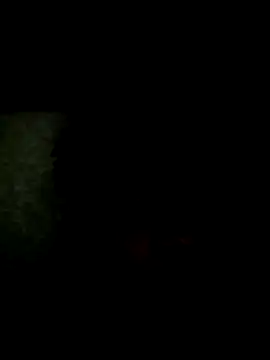 dddickplace online show from 10-19-25, 11:40