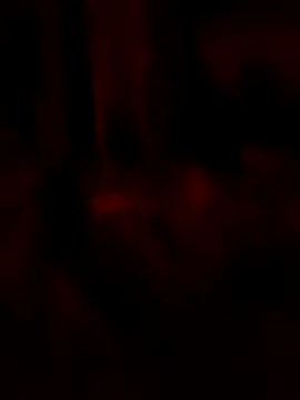 goloso80 online show from 05-22-26, 02:53