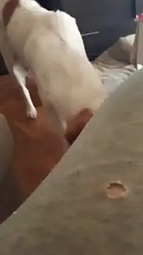 goloso80 online show from 10-22-25, 01:10