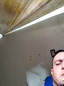 Cogelonregio online show from 10-22-25, 03:33