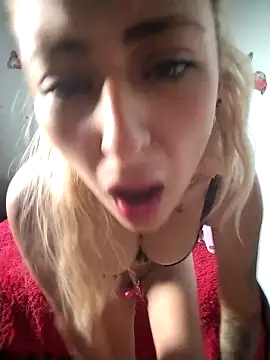 catalella16 online show from 02-02-26, 12:26