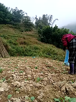 omai-ngot online show from 12-04-25, 02:21