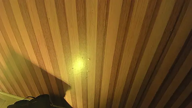 mia  blaze   online show from 03-30-26, 02:57