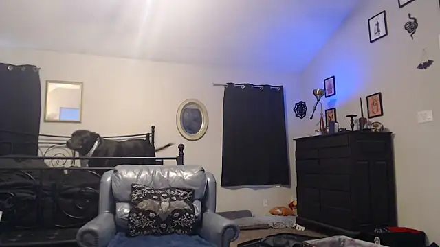 ImKatMeow online show from 02-16-26, 06:50