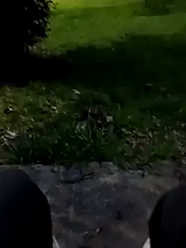 roludao fun online show from 01-09-26, 10:17