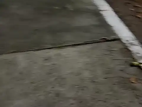 roludao fun online show from 12-04-25, 10:09