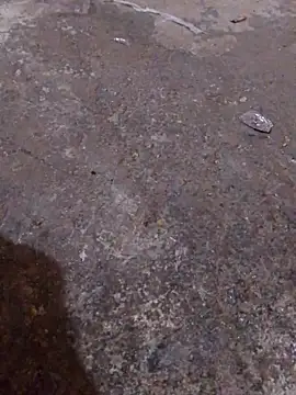 Orlao25cm online show from 11-16-25, 04:39