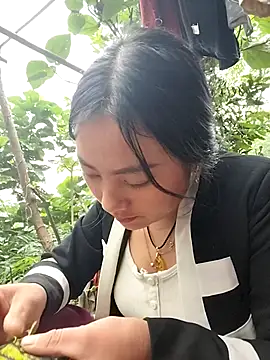 Sinhlinh2020 online show from 11-04-25, 08:51