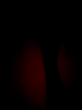 SlattedEndive online show from 03-08-26, 06:49