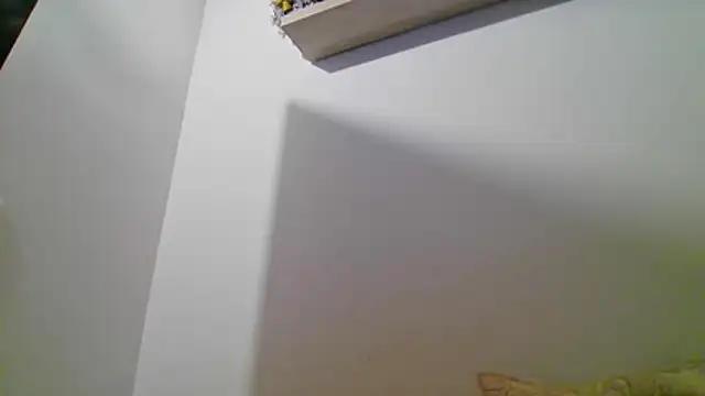valeriahornier online show from 07-16-26, 11:46