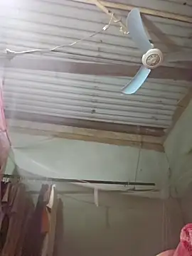 Squirrel-Pear online show from 11-19-25, 02:39