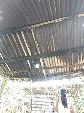 Squirrel-Pear online show from 11-20-25, 03:51