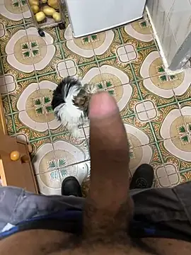 Anaconda Negra20 online show from 04-09-26, 06:04