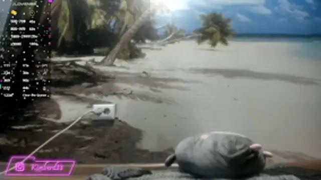 Snapshot of kimberd33 chatting on 02-26-26, 03:12 kimberd33 online show from 02-26-26, 03:12