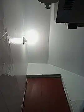 celeste 83 online show from 10-27-25, 04:19