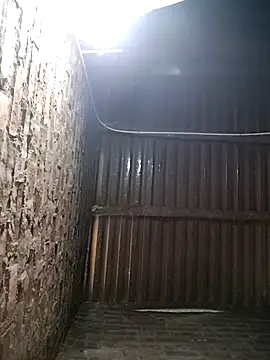 Bear bear0 online show from 01-12-26, 12:39