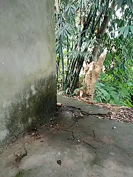 Bear bear0 online show from 11-08-25, 01:53