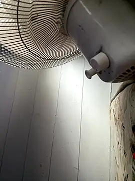 cheems232 online show from 11-22-25, 08:51