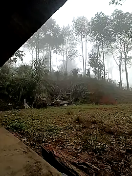 sowbibi online show from 12-15-25, 02:17