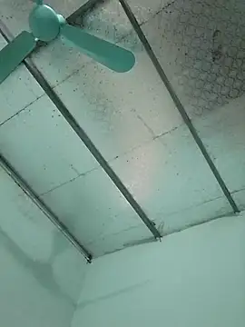  LAN  online show from 10-24-25, 01:37